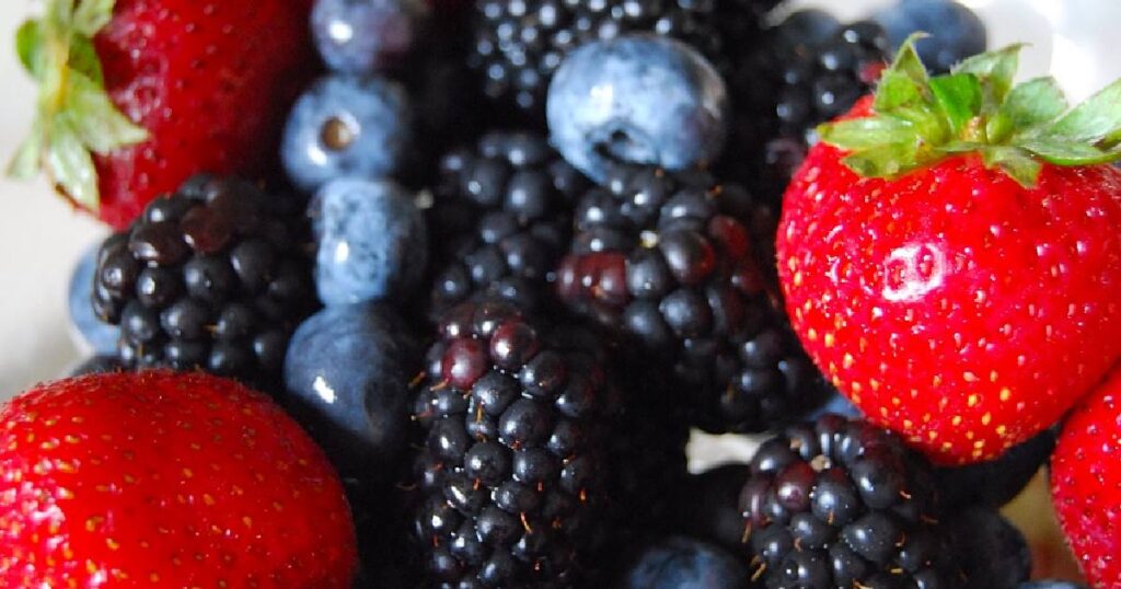 Auswahl und Vorbereitung der Beeren